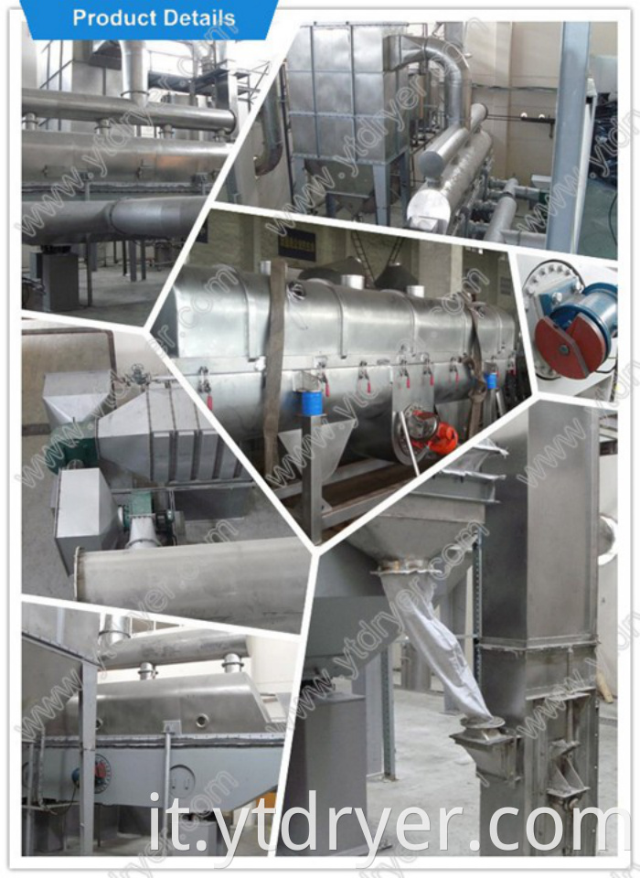 Vibrating Fluidized Bed Drying